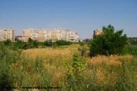 Imagine atasata: Timisoara Plaza Center - 2015.08.09 - 07.jpg